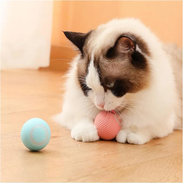 Bounce Buddy: Interactive Pet Ball