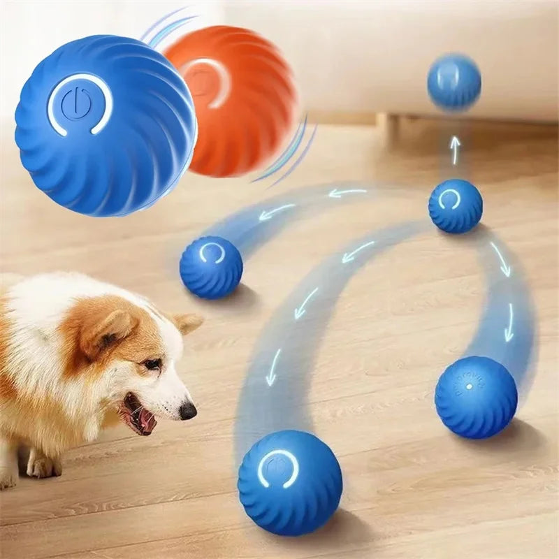 Bounce Buddy: Interactive Pet Ball