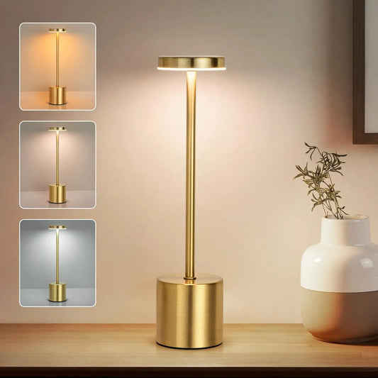 3 Color Dimmable Ambient Light